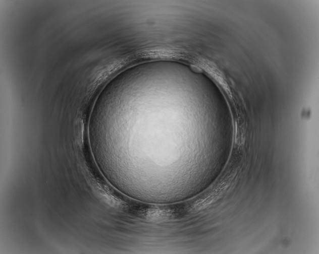 X0000100930109200807011230