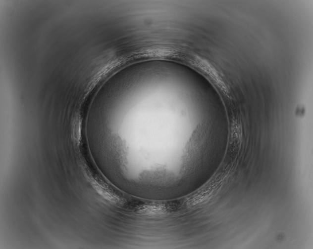 X0000100930110200807011230