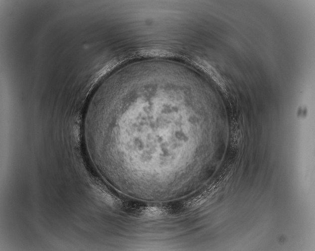 X0000100930111200807011230