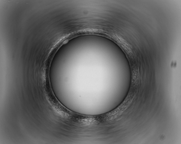 X0000100930112200807011230