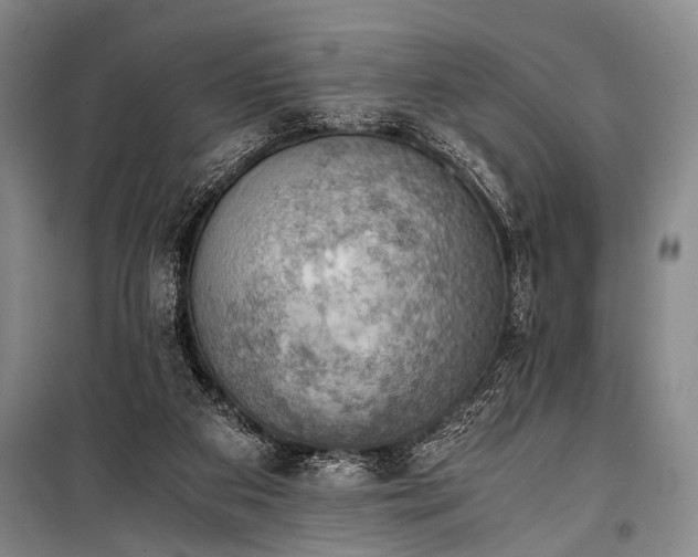 X0000100930113200807011230