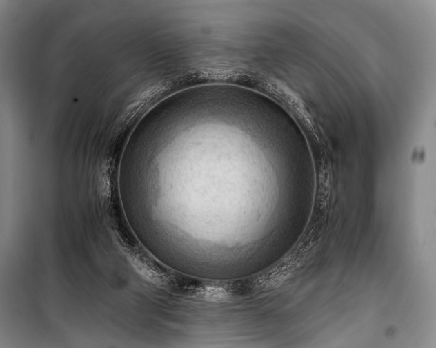 X0000100930114200807011230