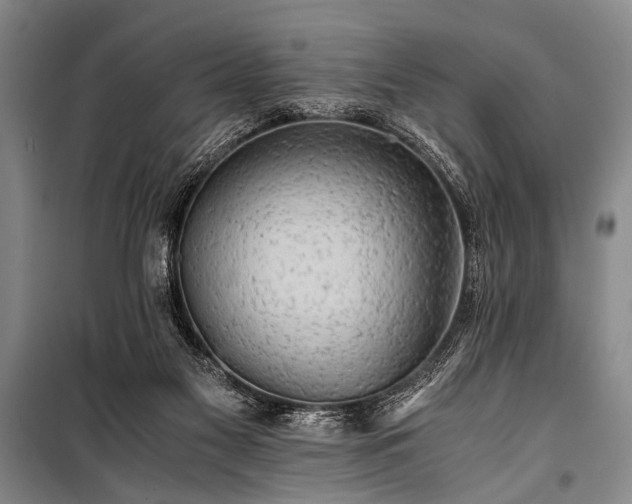 X0000100930117200807011230