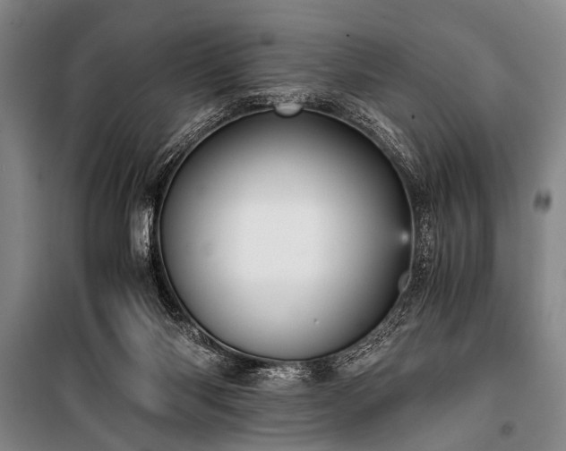 X0000100930118200807011230