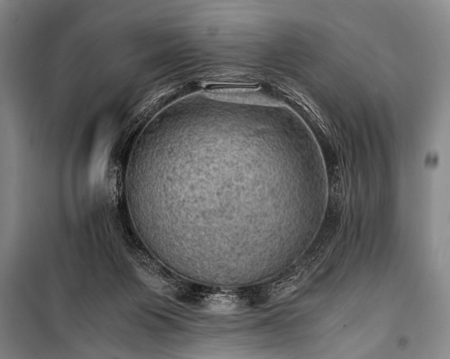 X0000100930119200807011230