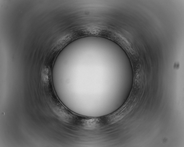 X0000100930122200807011230