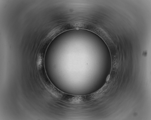 X0000100930124200807011230