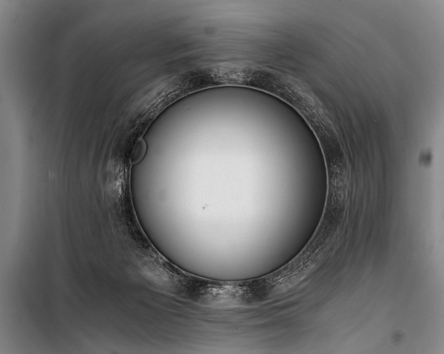 X0000100930125200807011230