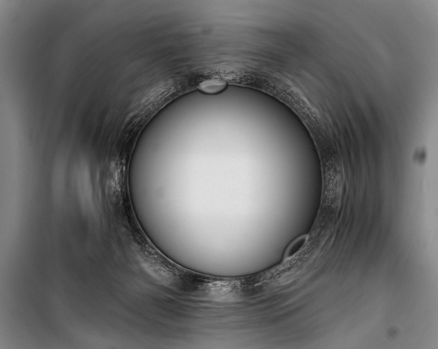 X0000100930126200807011230