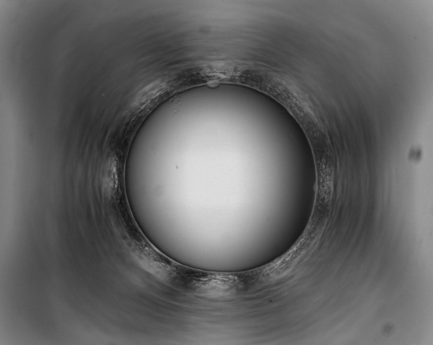 X0000100930128200807011230