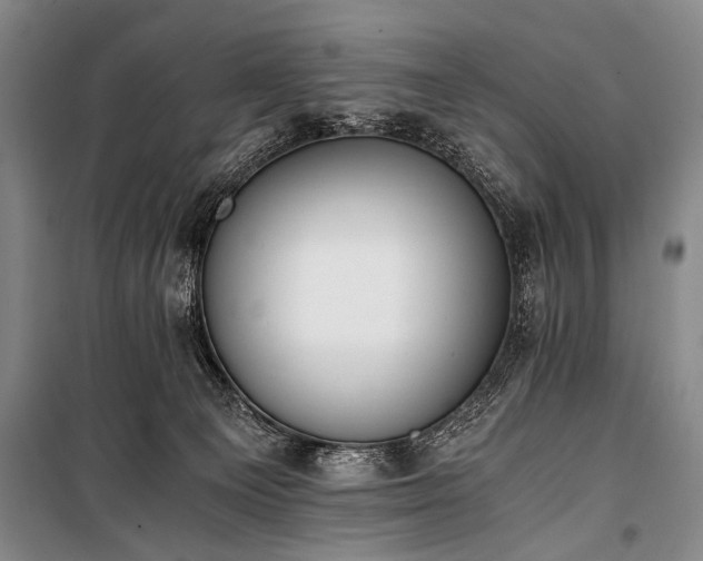 X0000100930129200807011230