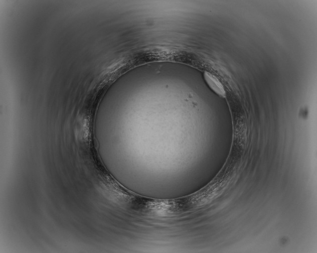 X0000100930131200807011230