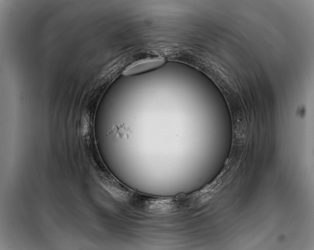 X0000100930132200807011230