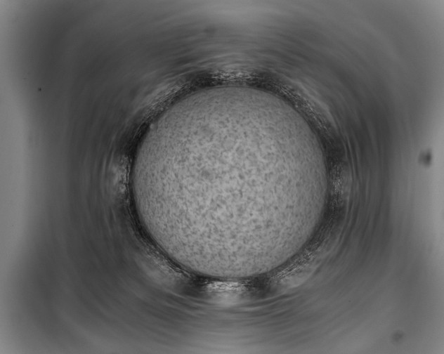 X0000100930133200807011230