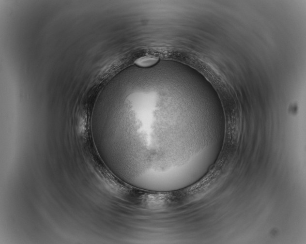 X0000100930134200807011230