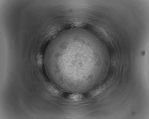 X0000100930135200807011230