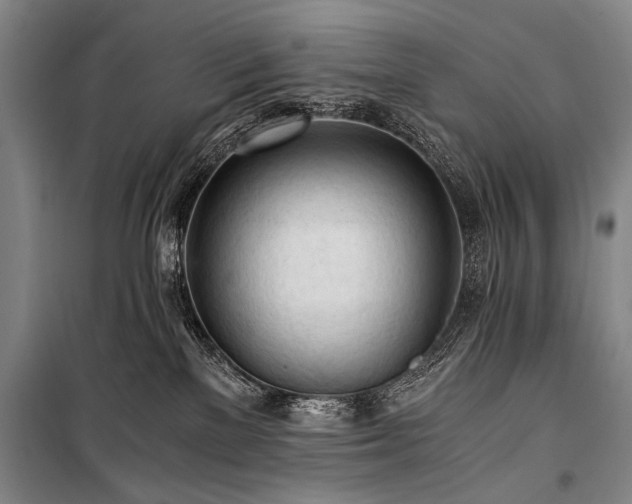 X0000100930137200807011230