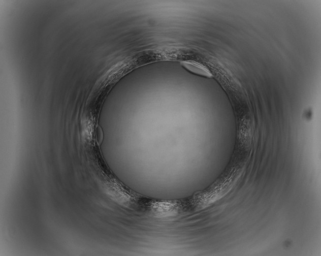 X0000100930139200807011230