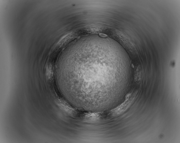 X0000100930140200807011230