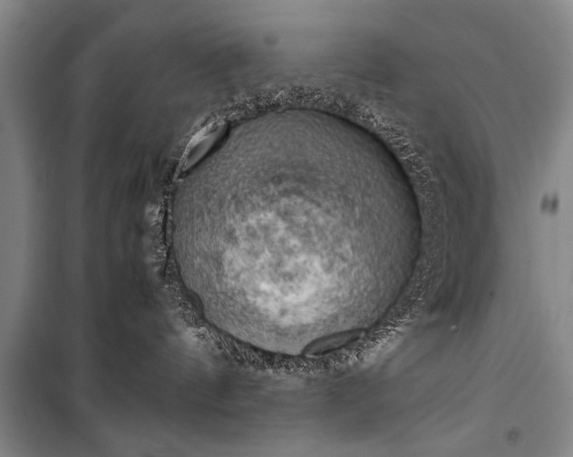 X0000100930144200807011230