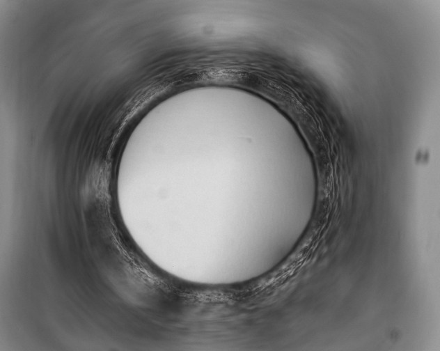 X0000100930146200807011229