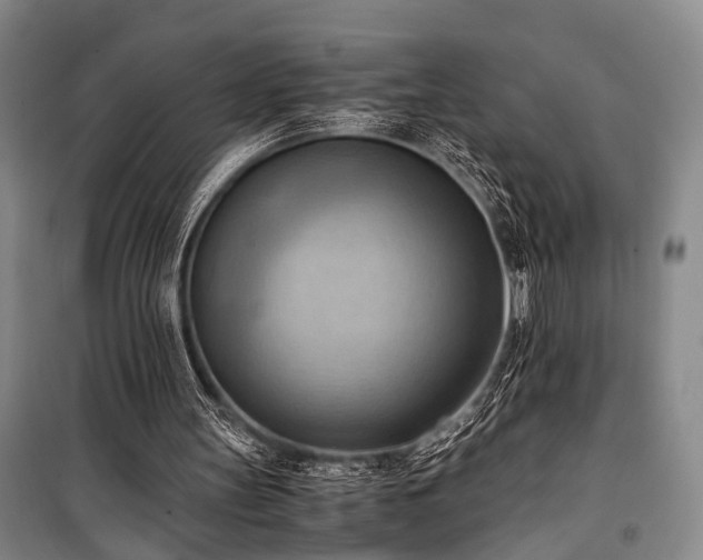 X0000100930147200807011229