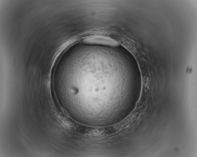 X0000100930148200807011229