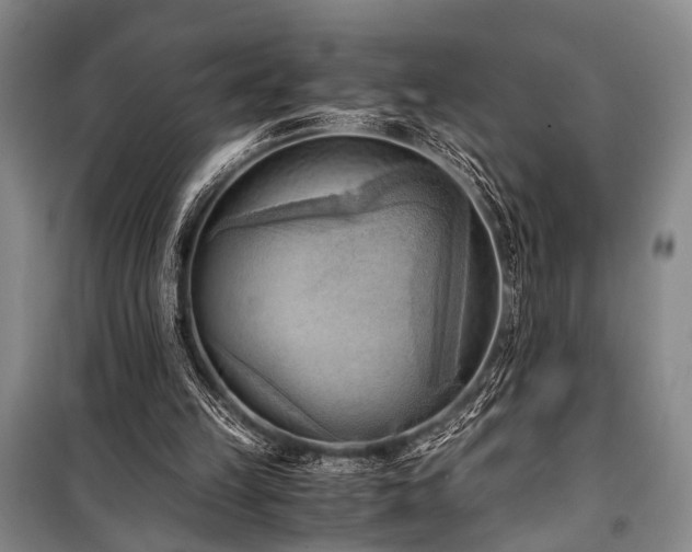 X0000100930149200807011229