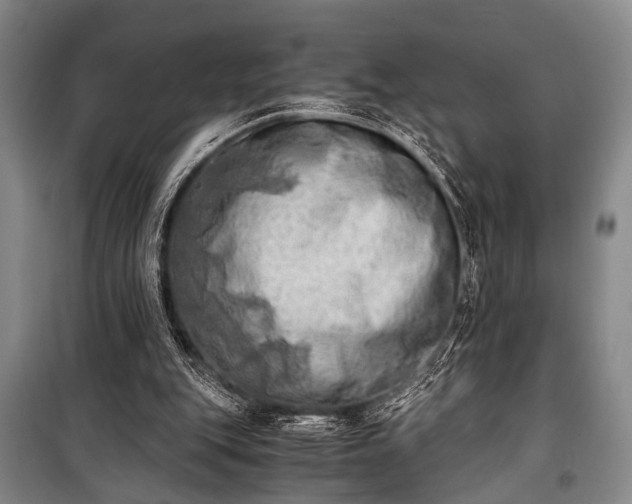 X0000100930151200807011229