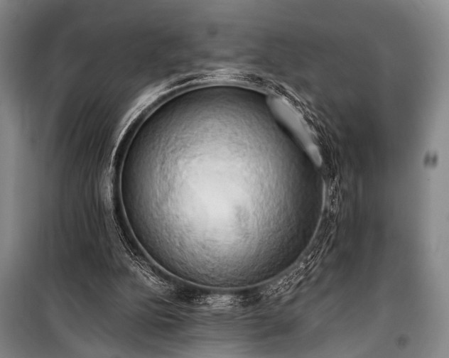 X0000100930152200807011229