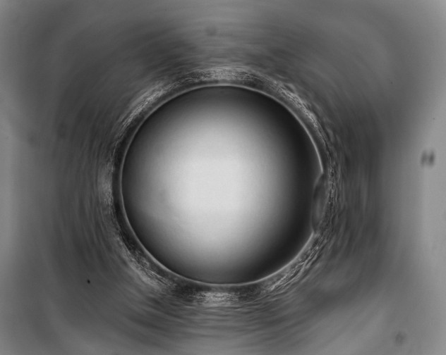 X0000100930154200807011229