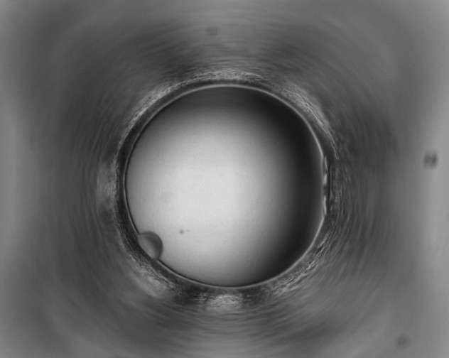 X0000100930156200807011229