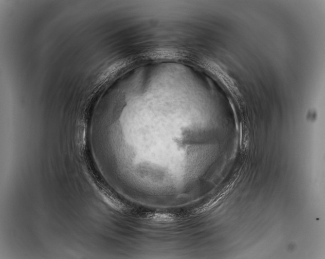 X0000100930157200807011229