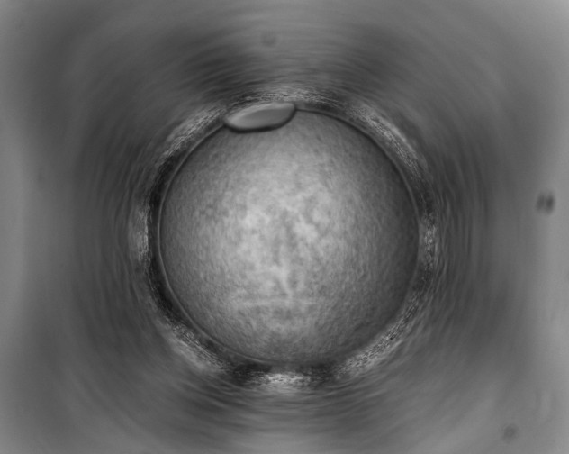 X0000100930158200807011229