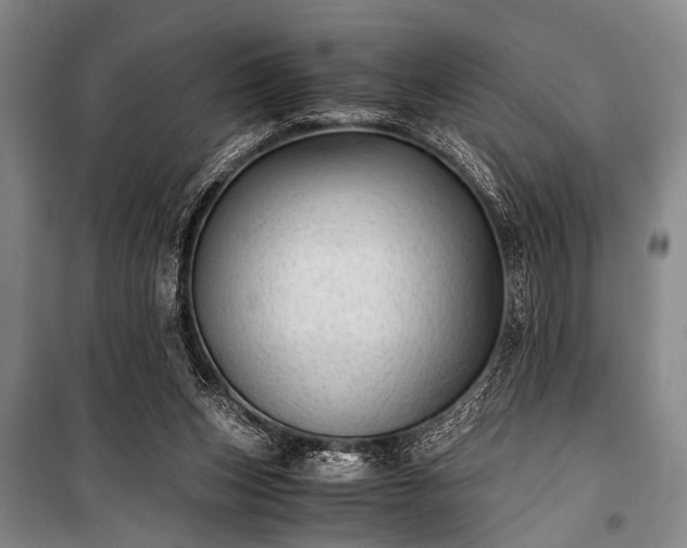 X0000100930159200807011229