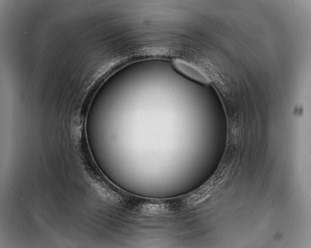 X0000100930160200807011229