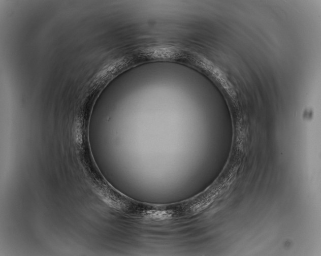 X0000100930161200807011230