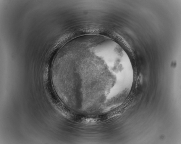 X0000100930163200807011230