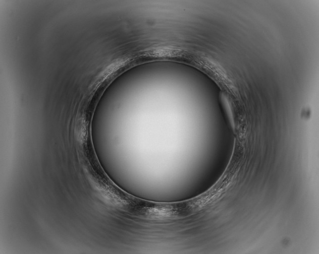 X0000100930164200807011230