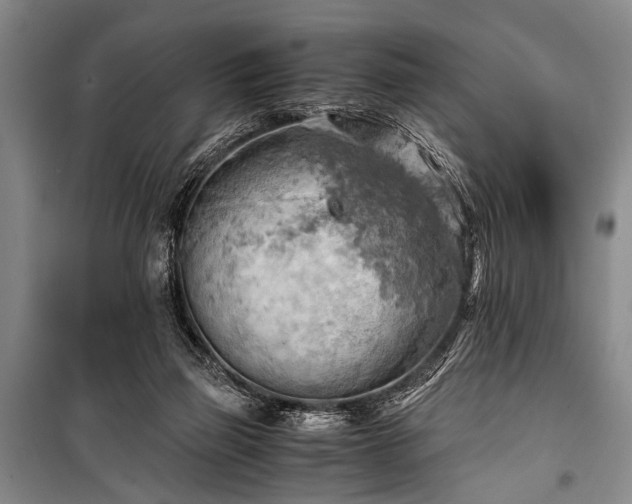 X0000100930165200807011230