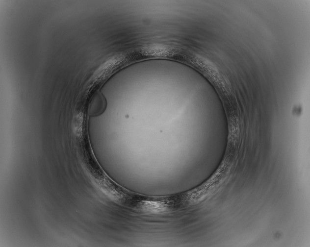 X0000100930167200807011230