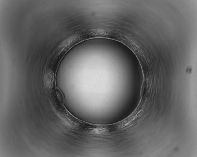 X0000100930168200807011230