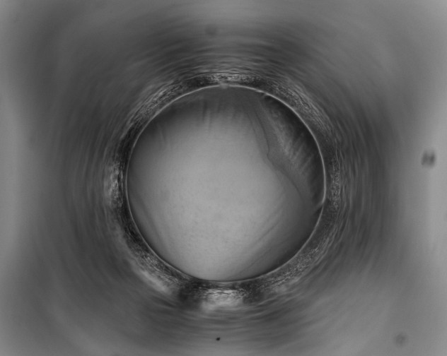 X0000100930169200807011230