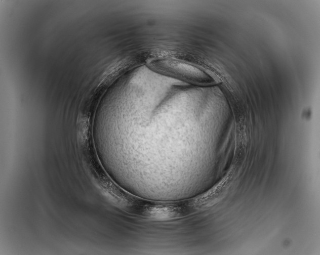 X0000100930171200807011230