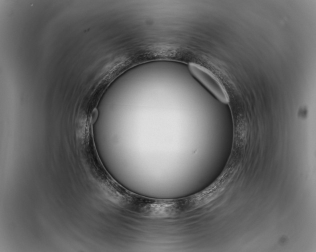 X0000100930172200807011230