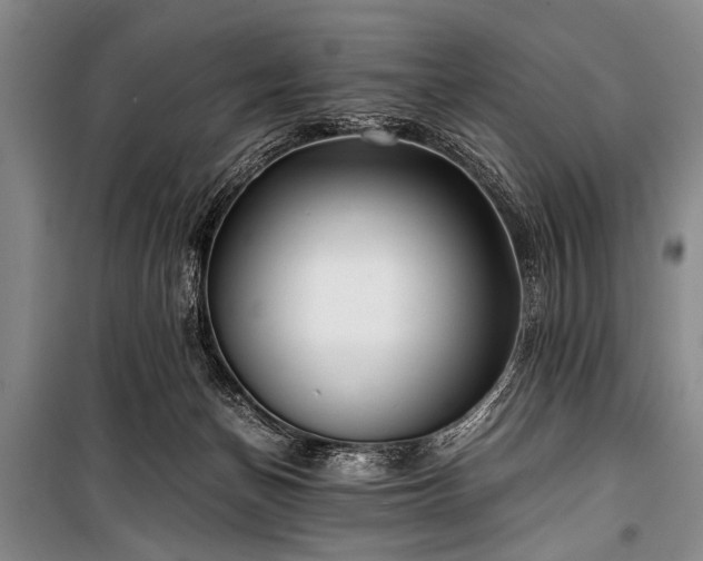 X0000100930174200807011230