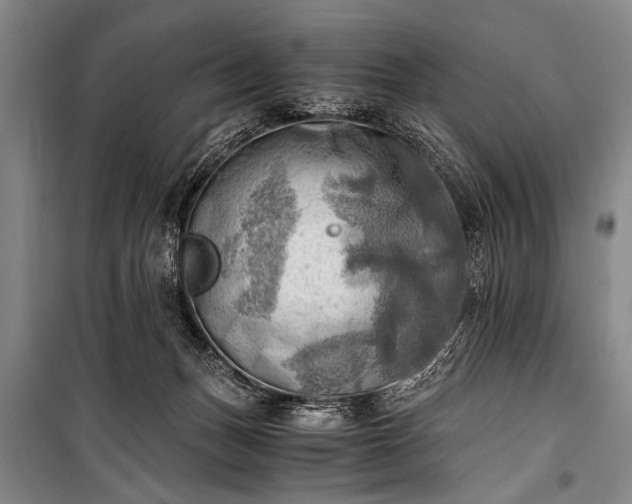 X0000100930175200807011230