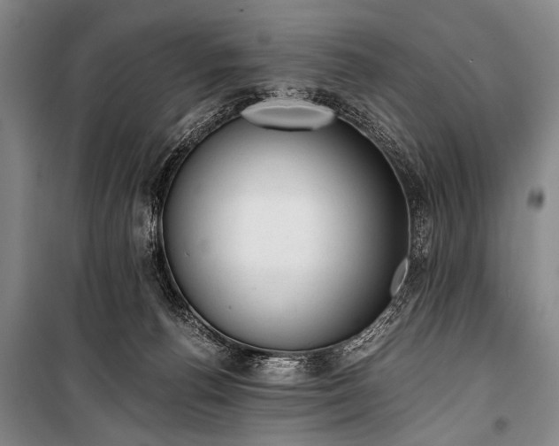 X0000100930176200807011230