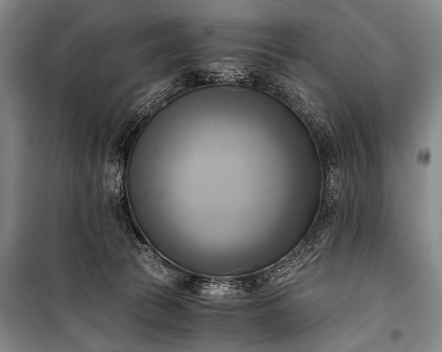 X0000100930177200807011230