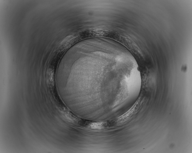 X0000100930178200807011230